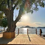 Sezz Wellness Adult Only Hotel Yalikavak