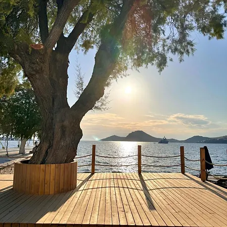 Sezz Wellness Adult Only Hotel Yalikavak