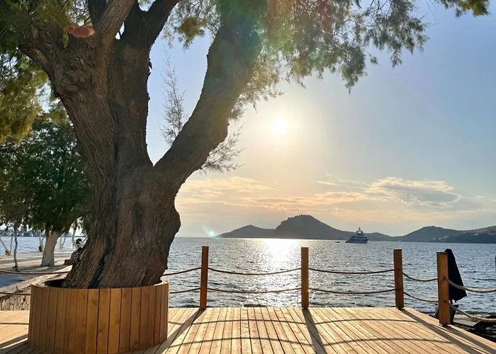 Sezz Wellness Adult Only Hotell Yalıkavak